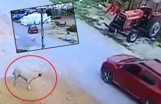 Hatay'da bunu yapan insan olamaz! Savunması pes dedirtti