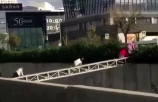 İstanbul'da gören bir daha baktı! Pes dedirten görüntü