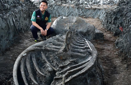 Tam 5 bin yıllık sadece kafatası bile 3 metre! Dünyayı hayrete düşürdü