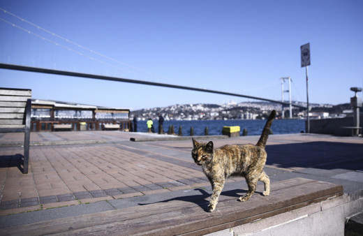 Haftasonu sokağa çıkma yasağı 2 gün oluyor iddiası Erdoğan duyuracak