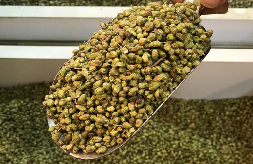 Suyu ve tanesi mikrop düşmanı! Korona pik yaptı talep patladı yok satıyor