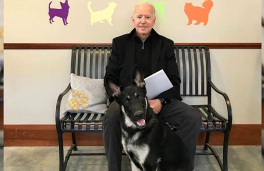ABD başkanlığına seçilen Joe Biden köpeği ile oynarken ayağını kırdı