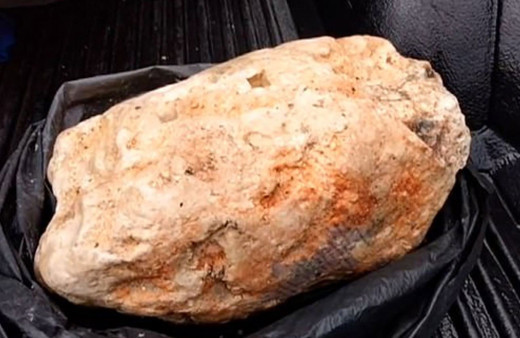 Balıkçı sahilde buldu değeri 250 milyon lira