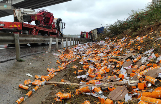 İstanbul'da yüzlercesi yol kenarına saçıldı! Ekipler harekete geçti