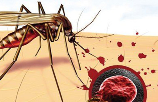 Dünya koronavirüsü konuşuyor ancak sıtma nedeniyle 1 yılda 409 bin kişi öldü!