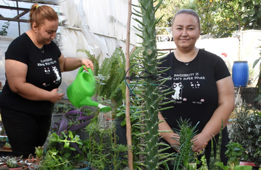 Antalya'da pandemiyi fırsata çevirdi! Hobi olarak başladı işi oldu