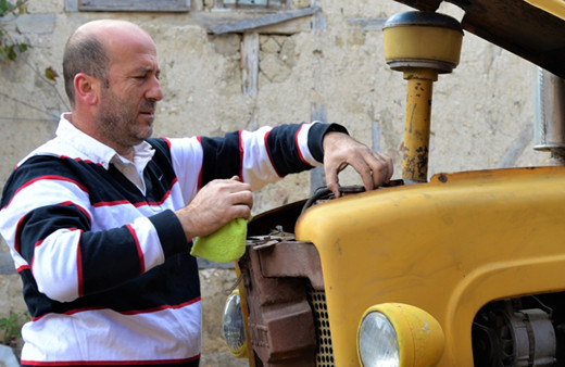 Bilecik'te bahçede görüp aldı fabrikanın teklifi bile reddetti! Gözü gibi bakıyor