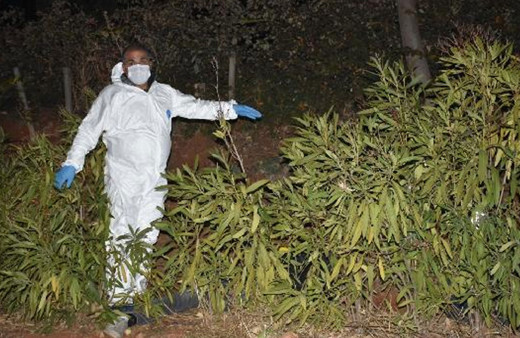 İzmir'de boş arazide ölü bulunan kişi arkadaşlarına 'Hakkınızı helal edin' yazılı mesaj atmış