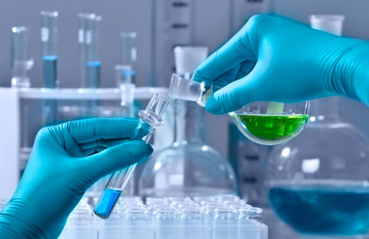 Amasya Üniversitesinde görevli öğretim üyesi yeni bir toprak bakterisi keşfetti