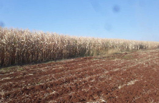 Şanlıurfa'da feci olay! 1 yaşındaki çocuk yanarak can verdi