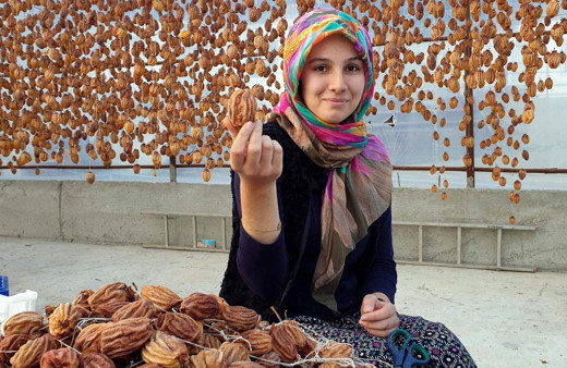 Bu meyve altın yılını yaşıyor Aydınlı önemsemiyordu şimdi kilosunu 100 TL'den satıyor