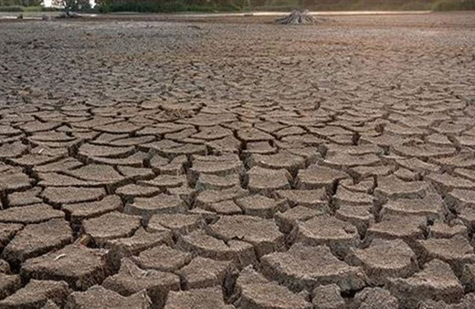 Kuraklık en çok Türkiye'yi vuracak! Gıda fiyatları tavan yapacak