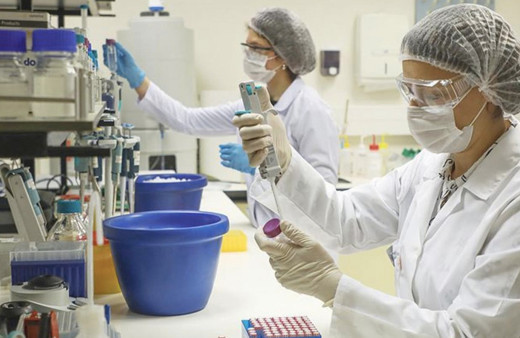 PCR testi sonucu öğrenme nasıl olur e devlet PCR sonuç sorgulama