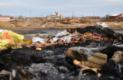 Konya'da böyle vahşet görülmedi! Yakarak öldürdüler