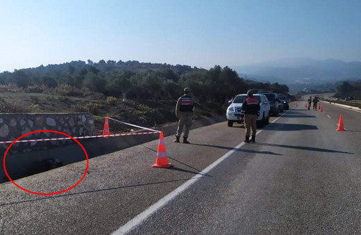 Hatay'da yol kenarında görenler şok oldu! Soruşturma başlatıldı