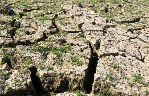 Türkiye'de kuraklık tehlikesi için yetkili isimden ürküten açıklama