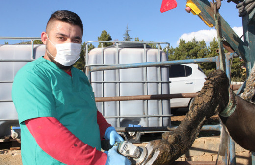 Isparta'da fırsatı değerlendirdi meslek edindi! Köy köy gezip bu işi yapıyor