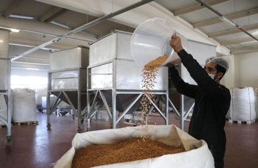 Yılbaşı öncesi kuru yemişte yüzde 400 talep patlaması! 24 saat aralıksız çalışıyorlar