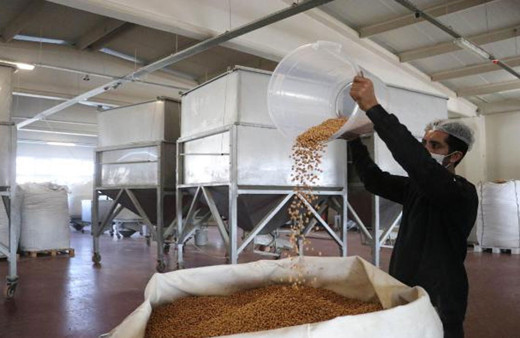 Yılbaşına kadar 24 saat mesai! Kuru yemişte talep patlaması!