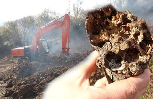 7 mahalle karantinada! Trabzon'da 'Dracula' böceği tehlikesine karşı ağaçlar yakılıyor