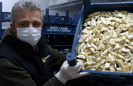 Çinliler yapamadı! Japonlar Adana'dan taneyle alıyor fiyatı dudak uçuklattı