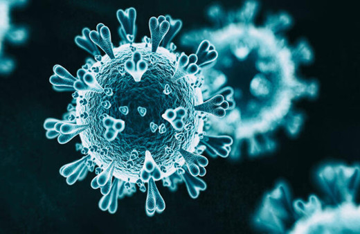 Prof. Dr. İsmail Balık: Mutasyona uğrayarak daha hızlı yayılan bir tip olan virüse ilişkin inceleme yapılıyor