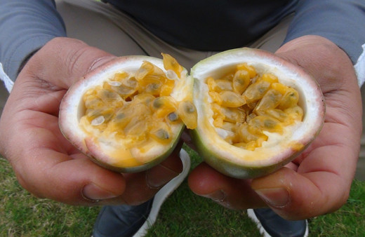 Antalya'da ilaç niyetine satılıyor strese iyi geliyor! Fiyatı cep yakıyor