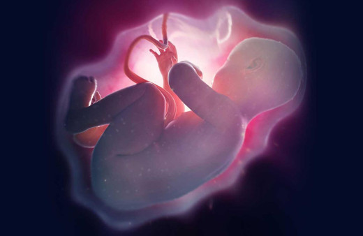 Bebeklerin plasentasında tespit edildi! Mikroplastik 'Cyborg bebek' alarmı yarattı