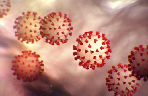 Koronavirüsün yeni mutasyonu dünyaya yayılıyor! Japonya'da 5 kişide tespit edildi