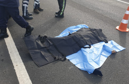 Tekirdağ'da aniden yola atladı! Feci şekilde can verdi