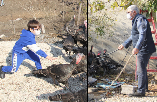 Hatay'da çizgi film yaşlı adamın hayatını değiştirdi! Şimdi paraya para demiyor