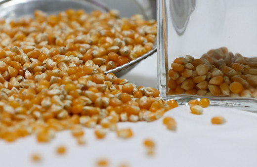 Koronavirüs salgınında cin mısıra talep yüzde 300 arttı