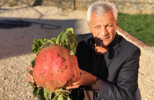 Mardin'de yerden çıkardı görünce şaşkına döndü!