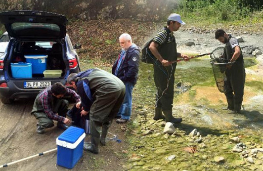 Türk bilim insanları keşfetti! Samsun'da varlığı bilinmeyen 4 yeni parazit türü keşfetti