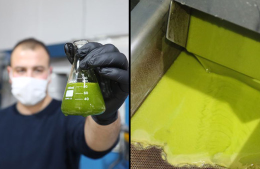 Antalya'da taleplere yetişemiyor fiyatı dudak uçuklatıyor! Yeşil altın deniyor