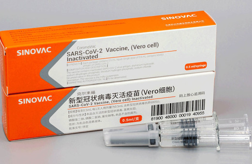 'Root Ayyıldız' isimli bilgisiyar korsanları Sinovac'ın internet sitesini hackledi