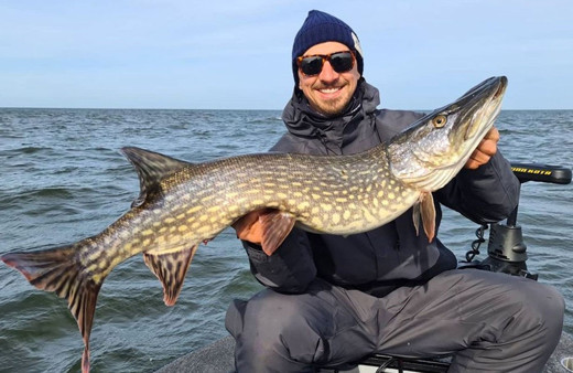 Zlatan Ibrahimovic hobileri için orman satın aldı