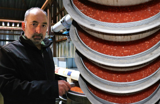 Amatör olarak başladığı işte paraya para demiyor! Sivas'tan Avrupa'ya satıyor