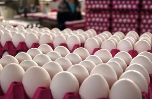Ticaret ve Tarım ve Orman Bakanlığı yumurtada fahiş zamlar için harekete geçti