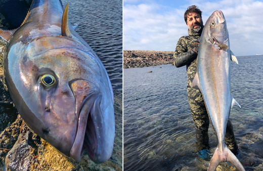 Çanakkale'de 27 kiloluk dev akyayı avladı ama inanamadı: Burada olması ilginç