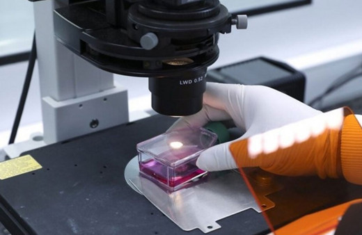 Almanya'da görevli Türk doktor SMA konusundaki gerçeği anlattı