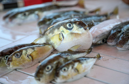 Zehri ölmüyor hemen etki gösteriyor siyanür etkisinde! Van'da 1 kişiyi öldürdü