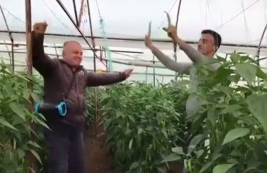 Yeşil biber fiyatları zamlandı üreticiye serasında çifte telli oynattı