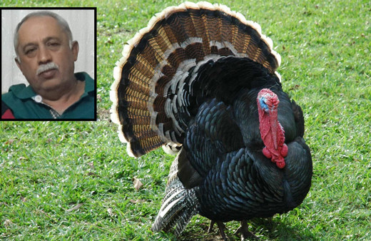 Malatya'da kestiği hindi yaşlı adamı canından etti! Feci şekilde can verdi