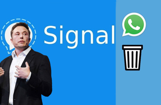 WhatsApp kararına Elon Musk'tan tepki: 'Signal kullanın'