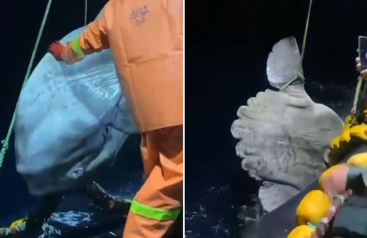 Kuşadası açıklarında balıkçıların ağlarına takıldı görenler gözlerine inanamadı