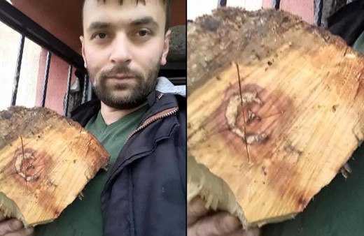 Zonguldak'ta kestiği odunun içinden çıkanı görünce hayrete düştü
