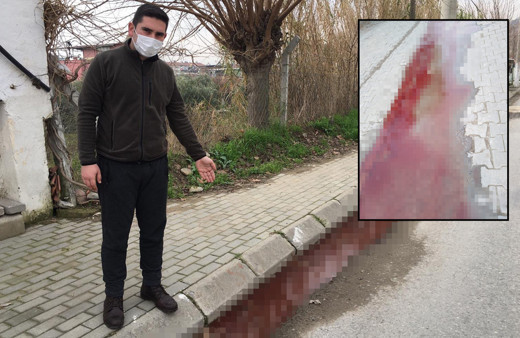 Aydın'da sokaktaki kanlı su görenleri korkuttu! Sebebi bakın ne çıktı