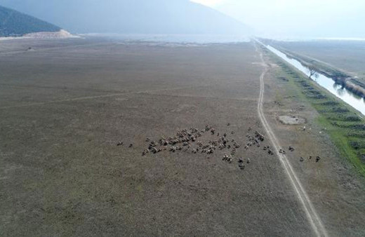 Sevindiren haber! İstanbul'da yağışlar baraj doluluk oranını arttırdı