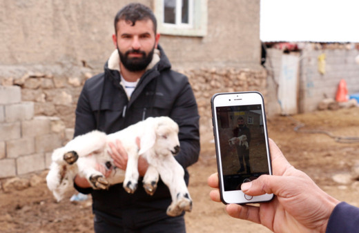Diyarbakır'da gören şaşkına döndü fotoğrafını çekti: İlk defa böyle bir şeyle karşılaştım